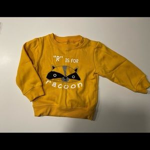 Baby Harvest Racoon Sweatshirt